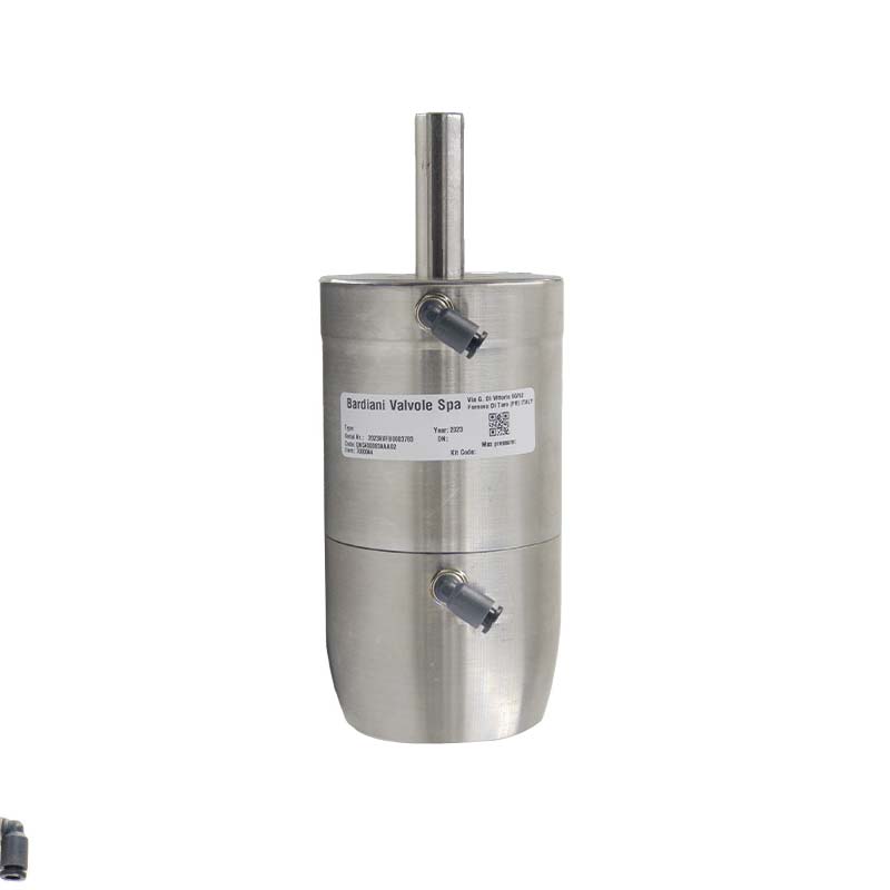 Pneu Actuator for BV ; DA ; SS304 ; without assembly parts ; 63-104 ; Bardiani
