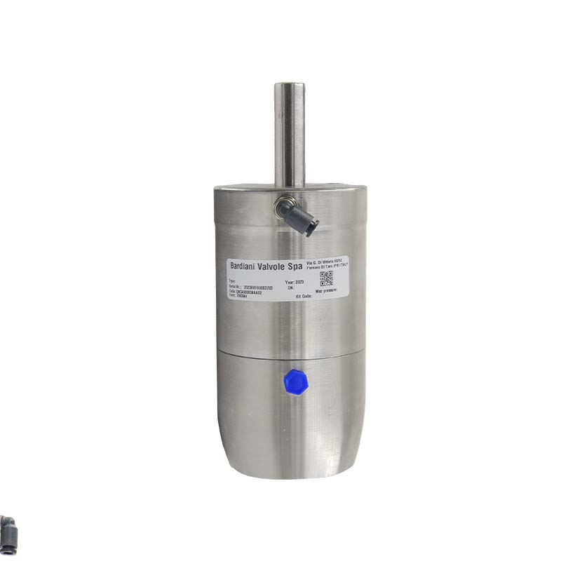 Pneu Actuator for BV ; SA ; SS304 ; without assembly parts ; 13-53 ; Bardiani