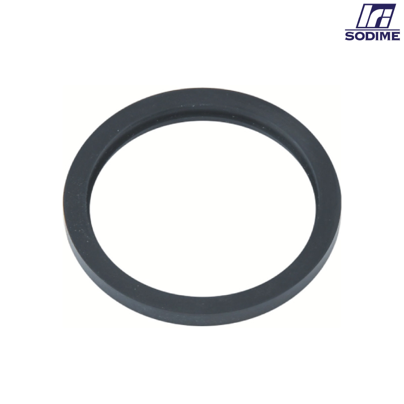 Part-Gasket for Union ; SMS ; EPDM ; Sodime
